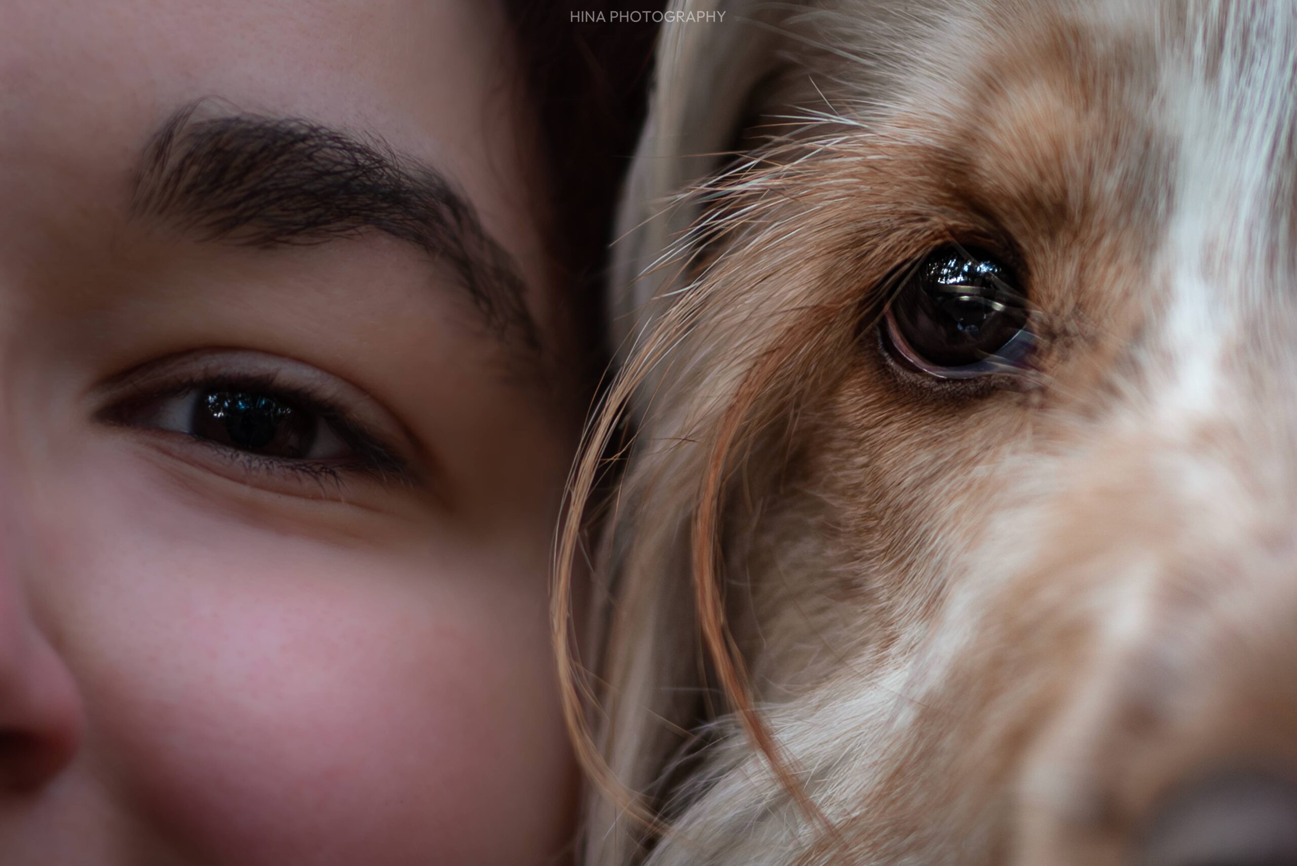 Truffe et moi yeux version compréssée