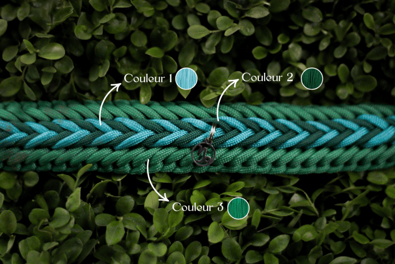 Collier Capricorn – Image 2