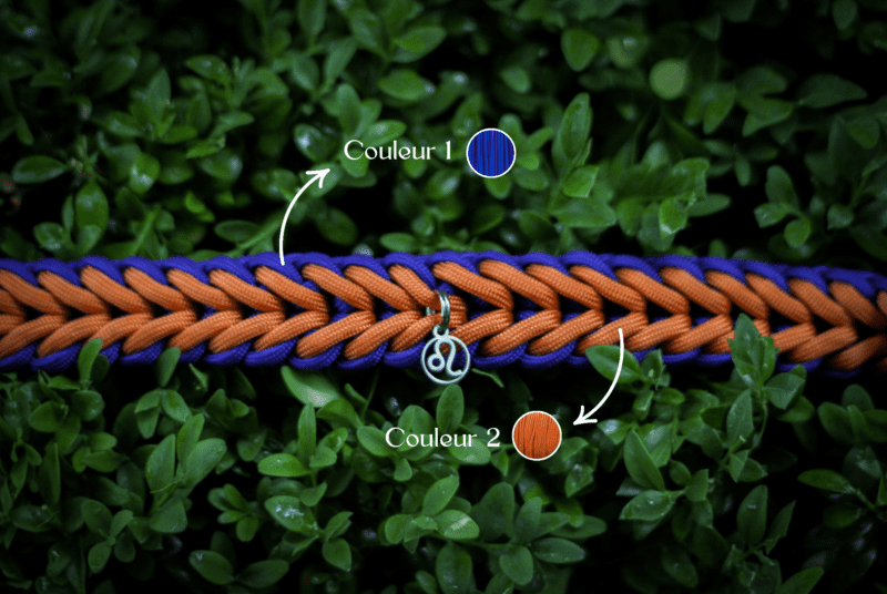 Collier Leo – Image 2