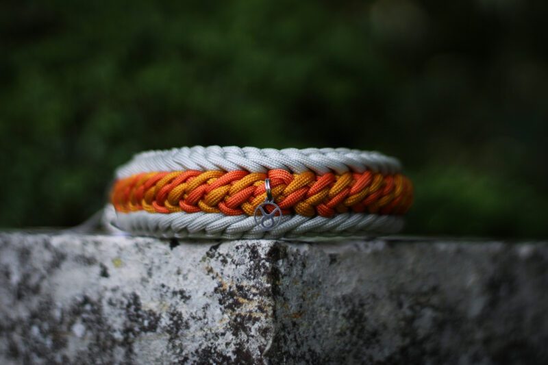 Collier Taurus