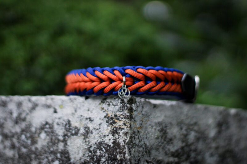 Collier Leo