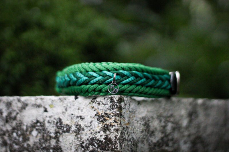 Collier Capricorn
