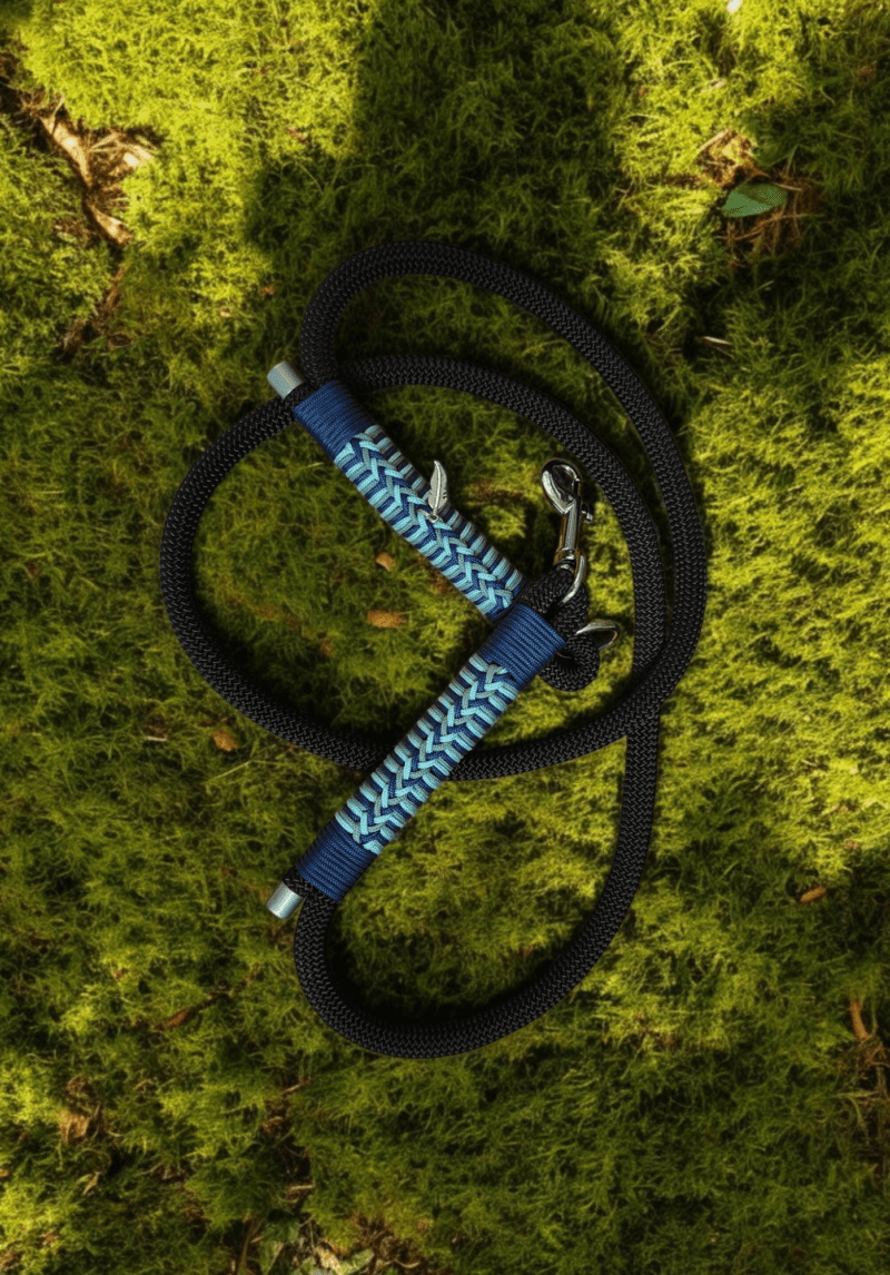 Corps de laisse Viking
