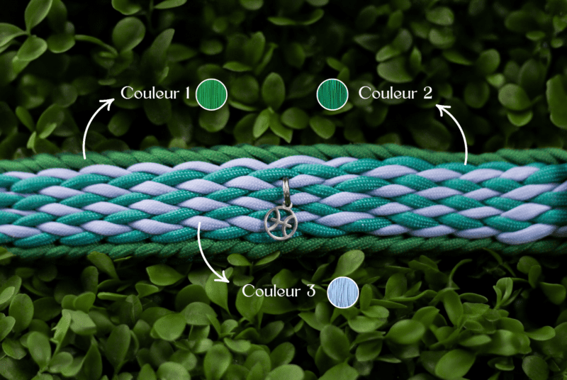 Collier Pisces – Image 2