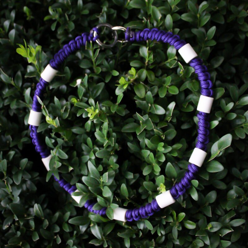 Collier Anti-Parasitaire